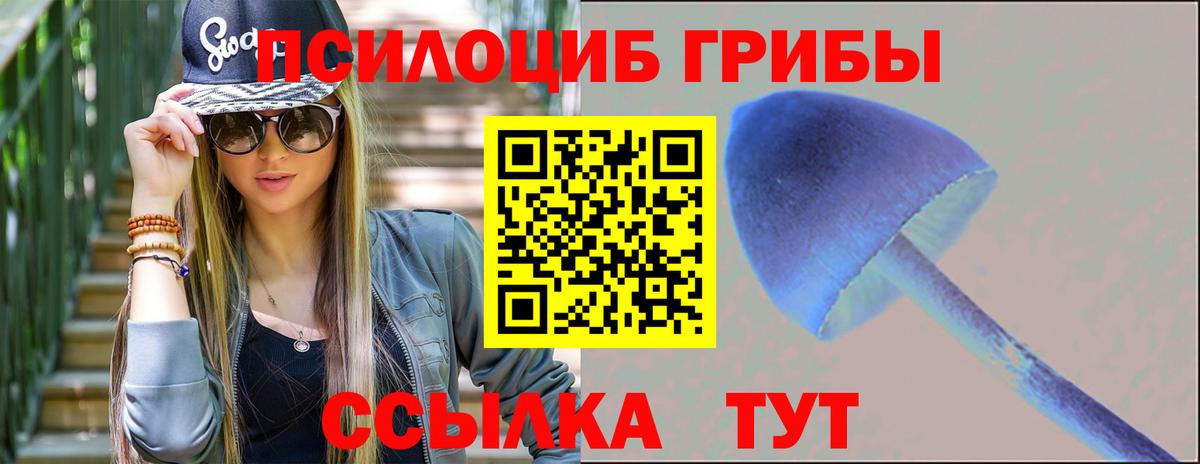 Псилоцибиновые грибы GOLDEN TEACHER  Вход с VPN  Нарткала 