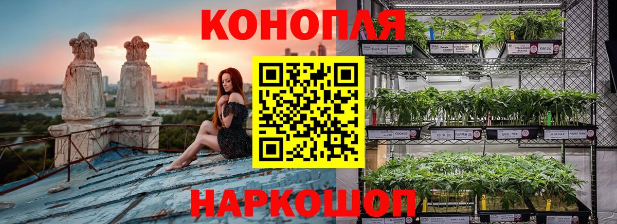 Канабис конопля Нарткала